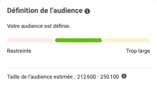 Audience Facebook Ads - Elorion Agence Webmarketing