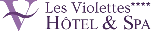 Hotel les Violettes - Elorion Agence Google