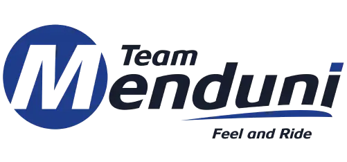 Team Menduni - Elorion Agence Google Ads